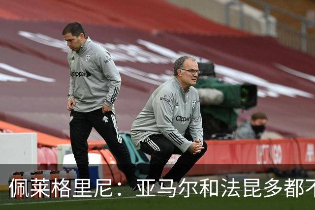 佩莱格里尼：亚马尔和法昆多都不该这么做，但没人应该被罚下