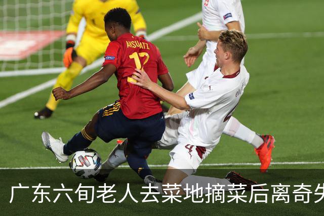广东六旬老人去菜地摘菜后离奇失踪！结果竟在地下7米处被拉出……