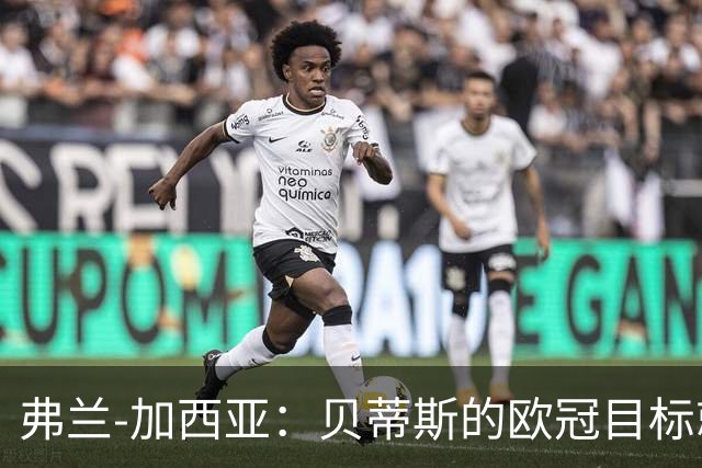 弗兰-加西亚：贝蒂斯的欧冠目标就是尽量进入前24