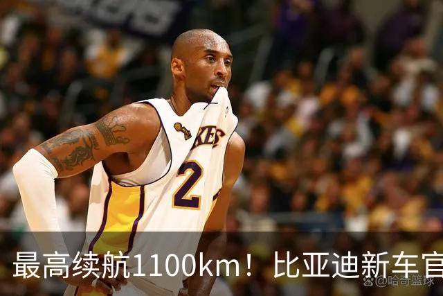 最高续航1100km！比亚迪新车官宣：搭载112.5度大电池，全系标配激光雷达+后轮转向