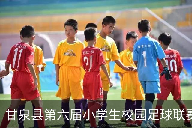 甘泉县第六届小学生校园足球联赛圆满落幕