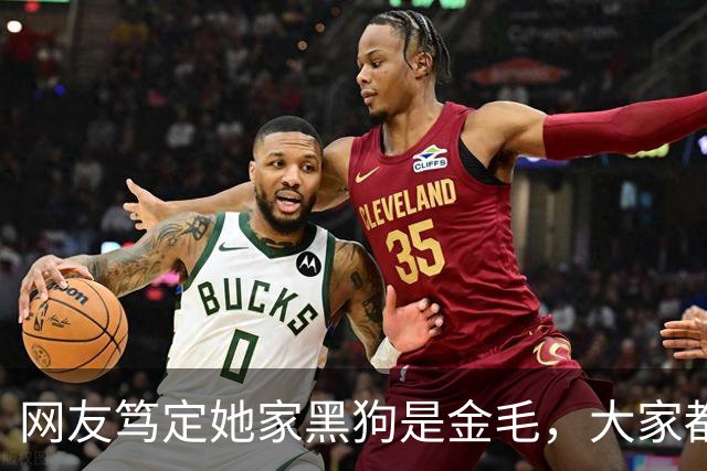 网友笃定她家黑狗是金毛，大家都不信，直到她晒出这张照片……没毛病，是金毛！