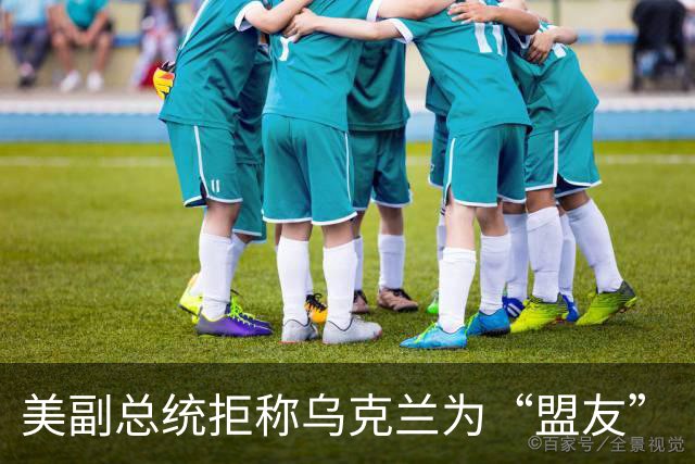 美副总统拒称乌克兰为“盟友”