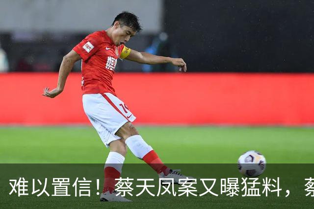难以置信！蔡天凤案又曝猛料，蔡现任丈夫，竟想和前夫发展恋人？